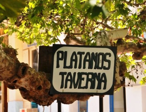 Πλάτανος Ταβέρνα