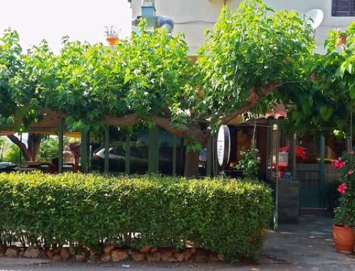 Ταβέρνα ο Μάνθος