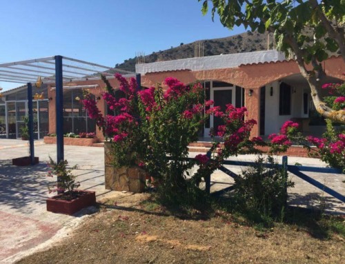 Sirtaki-Petros Tavern & Rooms