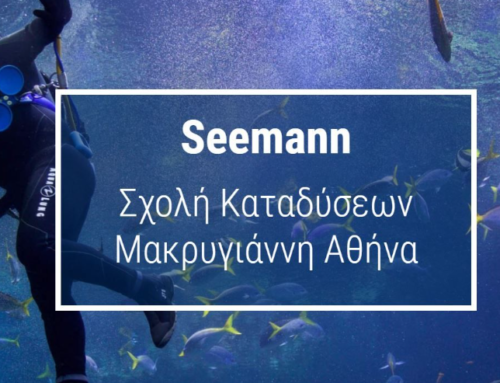 Seemann